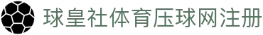 足球数据统计平台|比分走势分析与球队联赛数据查询
